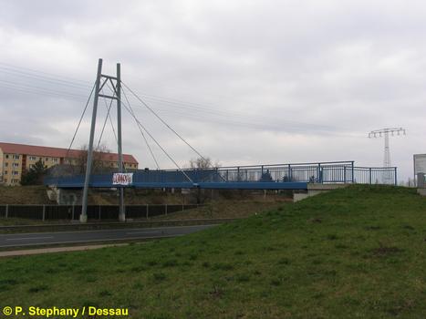 Pont à haubans de Gräfenhainichen (Saxe-Anhalt)