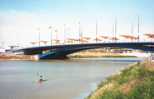 Puente de Chapina