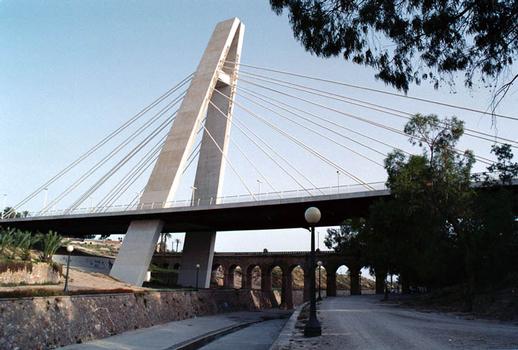 Generalitat Bridge, Elche