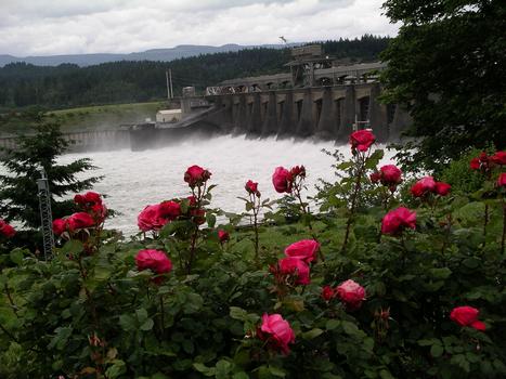 Bonneville Dam, Bonneville, Oregon