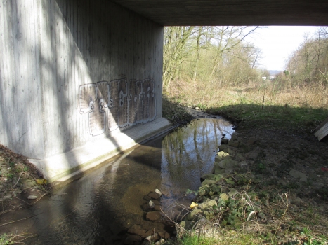 Der Bahneinschnitt der Elbschetalbahn schneidet einen Teil des Einzuggbietes der Elbsche ab. Der Bahnseitengraben führt dieses Wasser ab und ist immer mit Wasser gefüllt. Dies hatt dazu geführt, dass die alte Bahnbrücke nicht durch einen Damm ersetzt werden durfte.