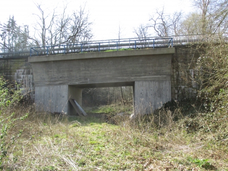 Pont de l'Overbeck