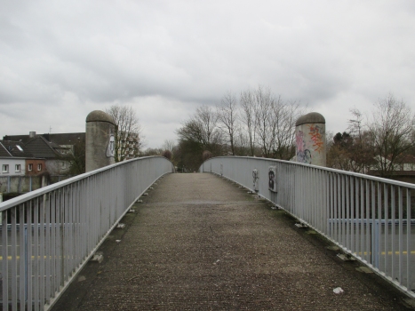 Erlenstrasse Footbridge