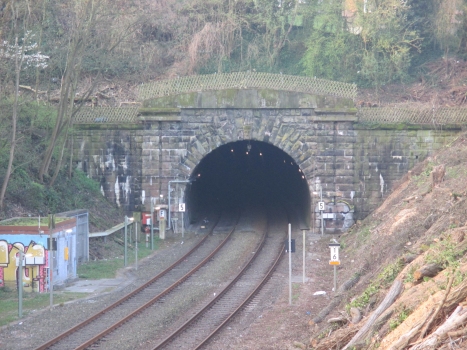Goldberg Tunnel
