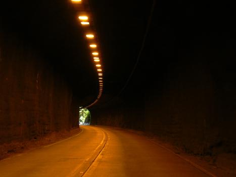 Elk Creek Tunnel