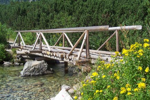 Holzbrücke im Zuge des Rundweges um den Popradske Pleso bei Strbske Pleso