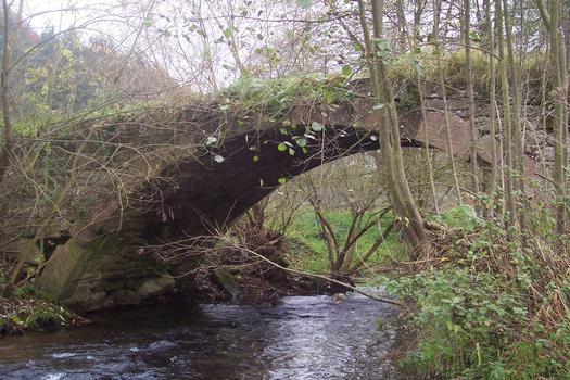 Haselbrücke, ca. 500 Jahre alt, Material Stein, Rohr OT Klosters, Bogenbrücke, Bogen unter der Fahrbahn Die Brücke soll mit ca. 500 Jahren die älteste Steinbogenbrücke im Landkreis Schmalkalden-Meiningen sein. Leider ist die Brücke baufällig und für jeglichen Verkehr gesperrt. Sie bedarf dringend einer Sanierung. Die Gemeinde Rohr ist dazu finanziell leider nicht in der Lage, die Sanierung der historischen Brücke in Auftrag zu geben