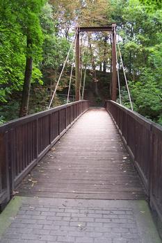 Cable-stayed wooden footbridge located in Luisenpark at Erfurt