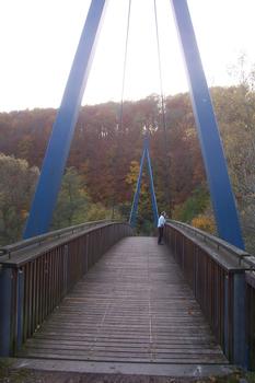 Rad- und Wanderweg-Brücke in Ebenshausen : Schrägseilbrücke mit einer Spannweite von 50 m. Baujahr: 1997 Seile: Stahl, Brückentafel: Holz Pylone: Stahl