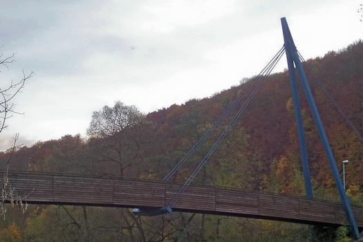 Rad- und Wanderweg-Brücke in Ebenshausen: Schrägseilbrücke mit einer Spannweite von 50 m. Baujahr: 1997 Seile: Stahl, Brückentafel: Holz Pylone: Stahl