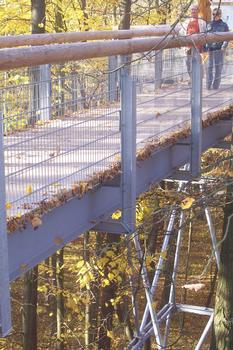 Treetop Path at Hainich National Park