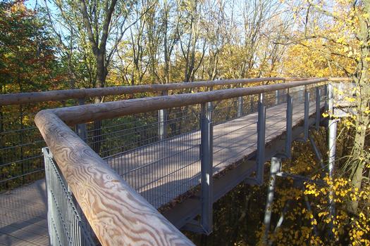 Treetop Path at Hainich National Park