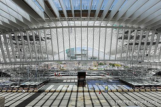 Gare des Guillemins à Liège (architecte: Santiago Calatrava, études: bureau Greisch)