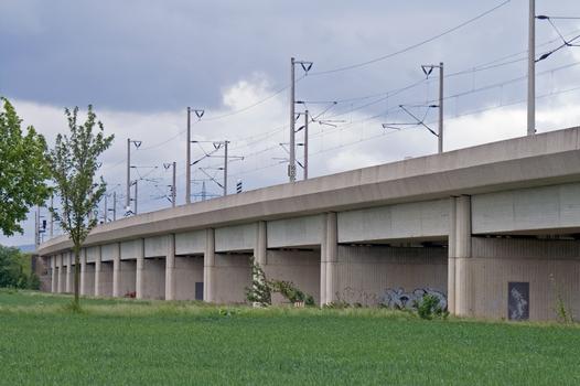 Viaduct over Innerste, High-speed Rail Line Hanover-Würzburg