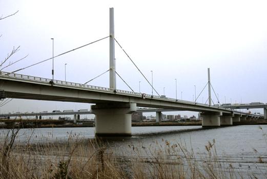 Pont d'Arakawa