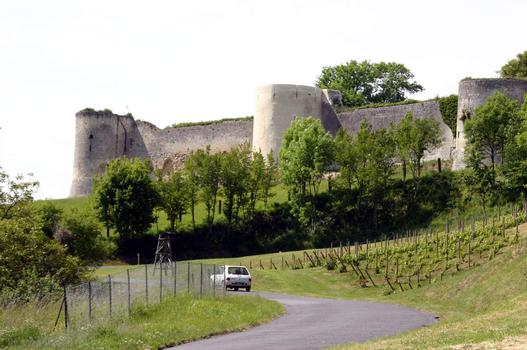 Coucy Castle
