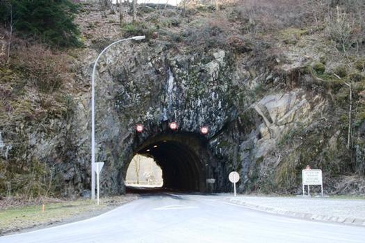 Der Tunnel gesehen in Richtung Esch-Sauer