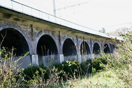 Pont-Rail à Hony sur l'Ourthe viaduc d'accès au pont vu d'en aval rive gauche