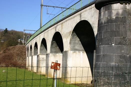 Pont-Rail sur l'Ourthe à Hony viaduc d'accès au pont vu de la rive gauche amont