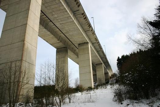 Le Viaduc du Recht au km 40 portant la E42 (Recht, Liège, Wallonie, Belgique)