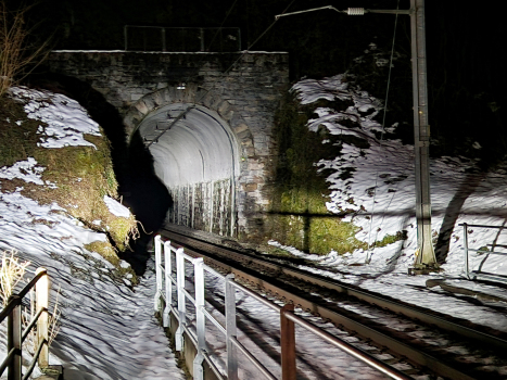 Tunnel Bürgli