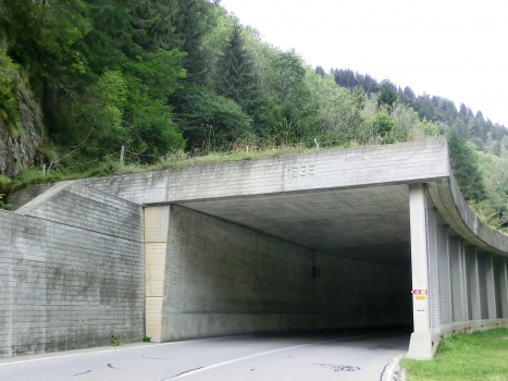 Tunnel de Stubiei