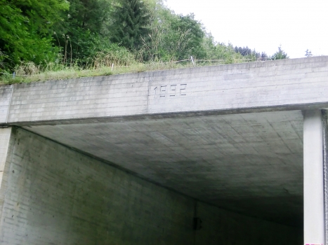 Stubiei Tunnel southern portal
