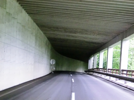 Cellonrinne 1 Tunnel