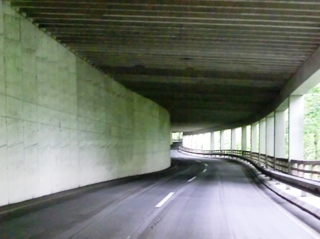 Tunnel Cellonrinne 1