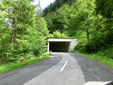 Cellonrinne 1 Tunnel western portal