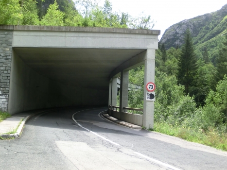 Cellonrinne 2 Tunnel northern portal