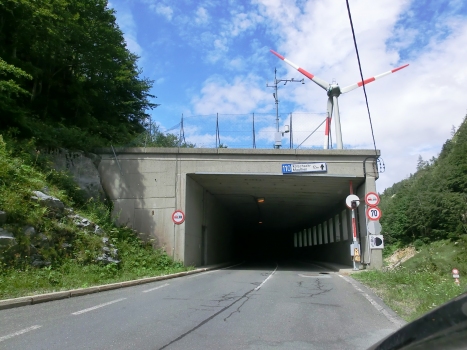 Cellonrinne 2 Tunnel southern portal