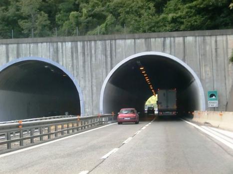 Tunnel Albagino