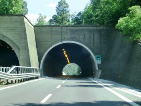 Crocina Tunnel northern portal