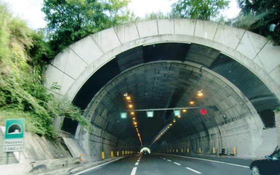 Nazzano Tunnel