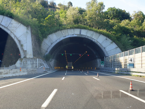 Nazzano Tunnel southern portals