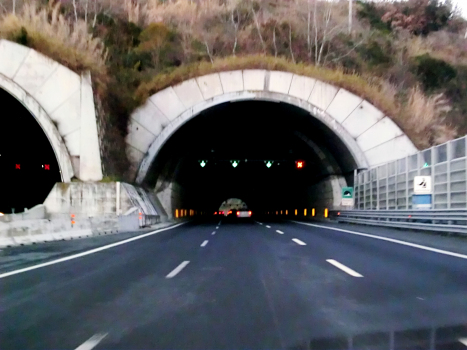 Nazzano Tunnel southern portal