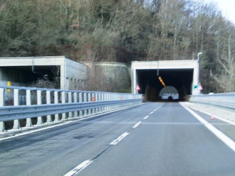 Poggio Palina Tunnel southern portals