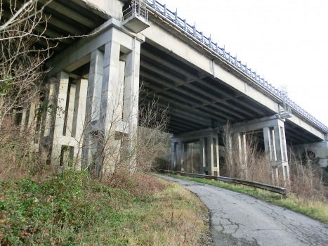 Rio Serra Viaduct