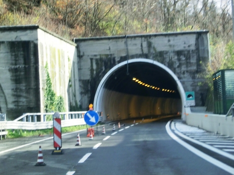 Serrucce Tunnel northern portal