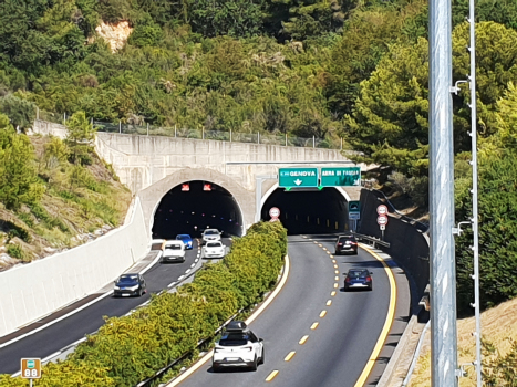 Amoretti Tunnel