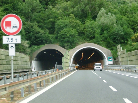 Bric Cinque Alberi Tunnel eastern portals