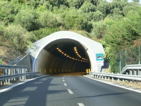 Cardellina Tunnel western portal