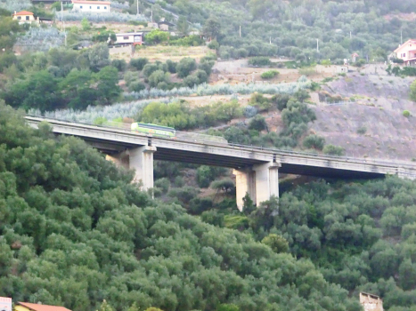 Castellaro Viaduct