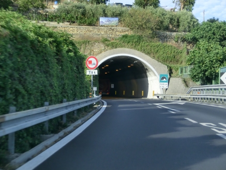 Coldirodi Tunnel western portals