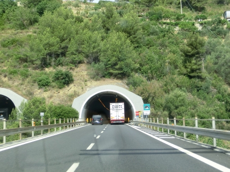 Costa dei Farina Tunnel eastern portals