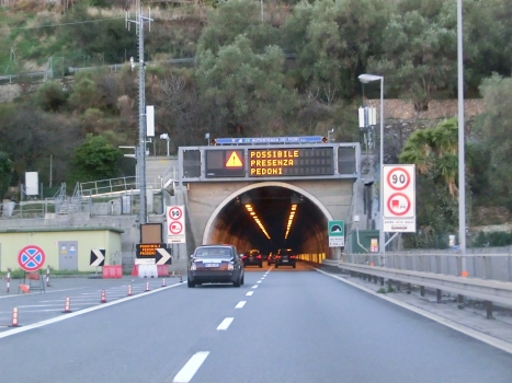 Del Monte Tunnel eastern portals