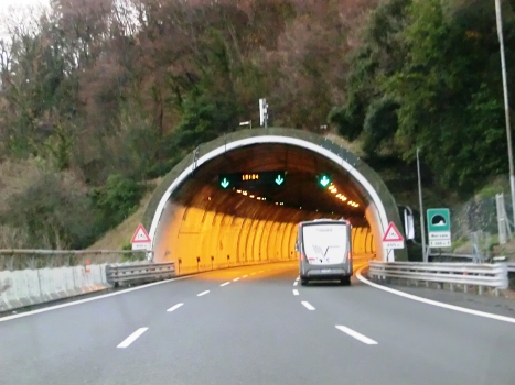 Mervalo Tunnel eastern portal