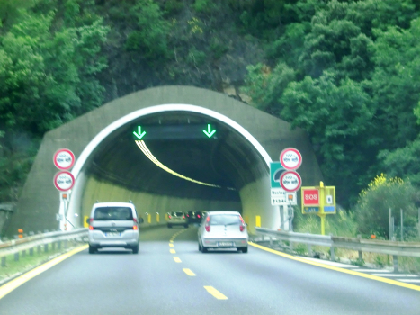 Monte Grosso Tunnel eastern portal