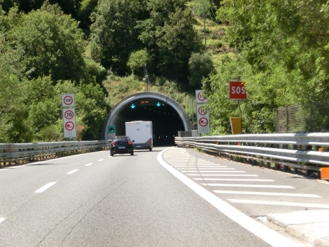 Pecorile Tunnel eastern portal